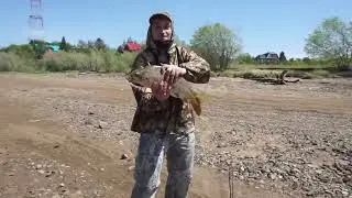 Майская рыбалка на сазана на Амуре. Фидер.