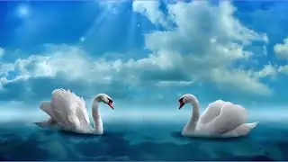 Жемчужная свадьба