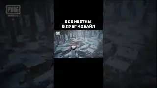 BORODA  обзор ивентов