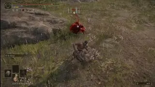 Caestus brawling | Elden ring pvp