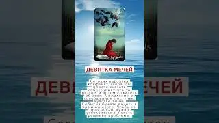 КАРТА ДНЯ 