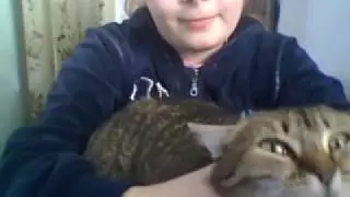 Моя кошка Чиса.