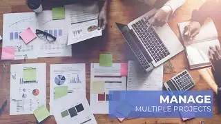 Project Management App | Cloud Based Software | Projecleo