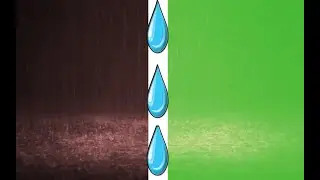 Rain Green Screen  Black Screen
