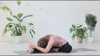 Йога для начинающих: отстройка асан (джану ширшасана)