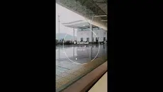 По дороге в Шанхай