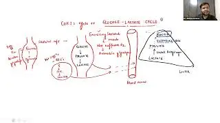 Auricle's Exam Mastery Biochemistry Live class about Carbohydrates Metabolism 2 By Dr.Abhijeet