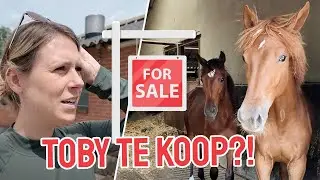 Toby 2.0 staat TE KOOP! || Vlog #322