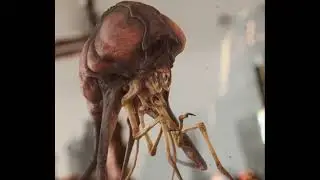 Audio Galactapedia:  Xiphopode / Blind Oni Crab