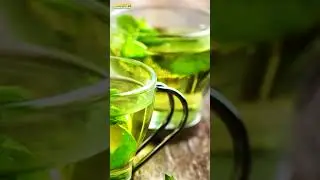 Все грани вкуса мяты в коллекции Георгия Афанасьева
