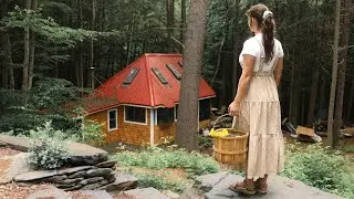 Simple Summer Morning at My Off Grid Cabin
