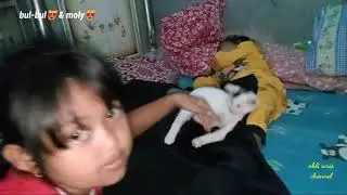 KUCING DAN PEMILIKNYA SEDANG ASYIK BERCANDA