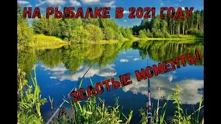 Золотые моменты 2021 года,фото, подборка фото