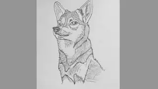 How to Draw a Realistic Dog-Step by Step Tutorial#youtubevideo #viral #easyartbypg #art #drawing