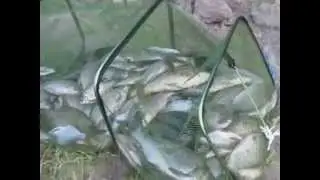 Первая рыбалка на Ахтубе