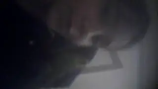 Как научить попугая разговаривать