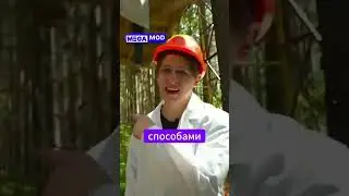 Мамикс построил деревню на деревьях #mamix #shorts #megamod