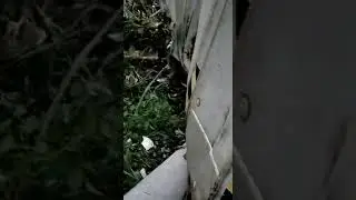 Ngeri, Kontainer Terbalik Menindis Banyak Orang Di Gunung Menangis #driver