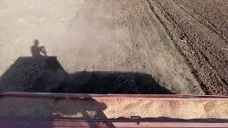 semănat grau ,cu jd3140 ,și 65 M