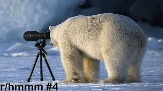r/hmmm Best Posts #4