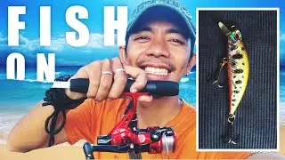 New Setup Field Testing | Magandang Fishing Set Pero Ingat Sa Pag Bili Ng Lure!! | AndroPort