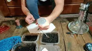 TANGIERS BOWL PACK