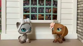 LPS:✧𝓕𝓪𝓵𝓼𝓮✧ [Odcinek #25]