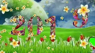 Wedding green screen effect background beautiful frame