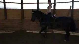 Кокетка. Сокращёная рысь, рабочая рысь.