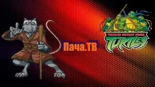 Полное прохождение Teenage Mutant Ninja Turtles: Mutant Melee / Сплинтер