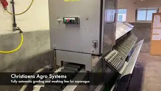 Christiaens asparagus sorting machine