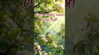 #shorts С добрым утром!