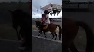 riding a horse on Boom Beach in Banyuwangi, a bit scared