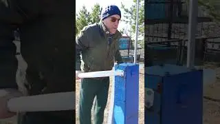 Физкультпривет