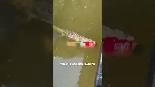 🔞Крокодил пообедал неосторожным футболистом-  Хесус Лопес Ортис захотел поплавать в реке Каньяс...