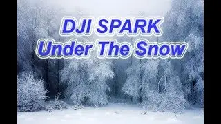 DJI Spark under the snow