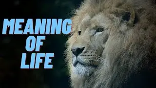 IF YOU WANT TO KNOW YOUR MEANING OF LIFE 