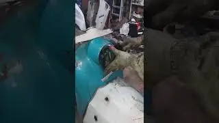 байк сторис 2
