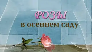 Цветущие Розы в осеннем саду Осень 2021 Видеозарисовка
