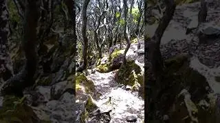 seterjal terjalnya jalan hidupmu tidak seterjal jalur gede pangrango