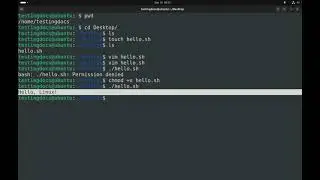 First Linux Shell Script 