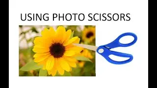 Photo Scissors