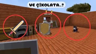 Kılıç Kalkan ve Kedi