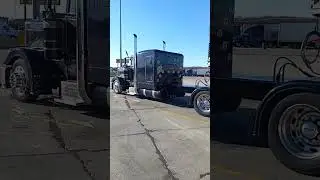 peterbilt 379 flat top