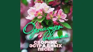 Весна по имени Светлана