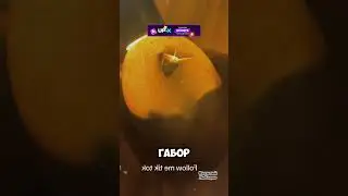 Верный питомец 😍
