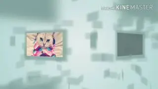 Слайд шоу #1