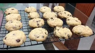Mini Chocolate Chip Cookies Recipe almost like Famous Amos cookies!
