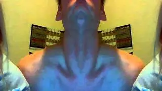 Mirror image on webcam