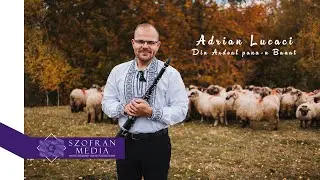 🎶 Adrian Lucaci 🏔️ Din Ardeal pana n Banat 🏔️